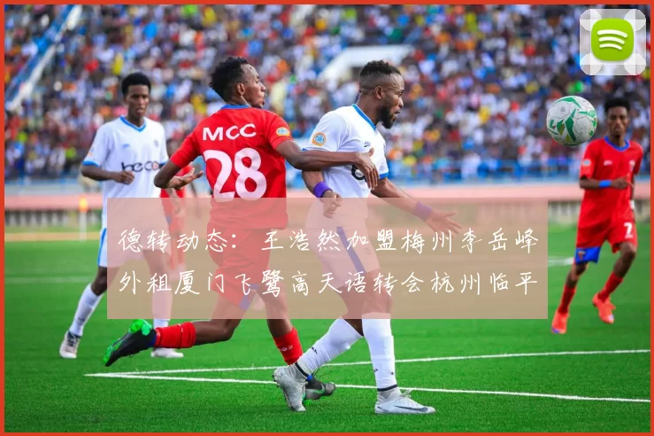 德转动态：王浩然加盟梅州李岳峰外租厦门飞鹭高天语转会杭州临平吴越